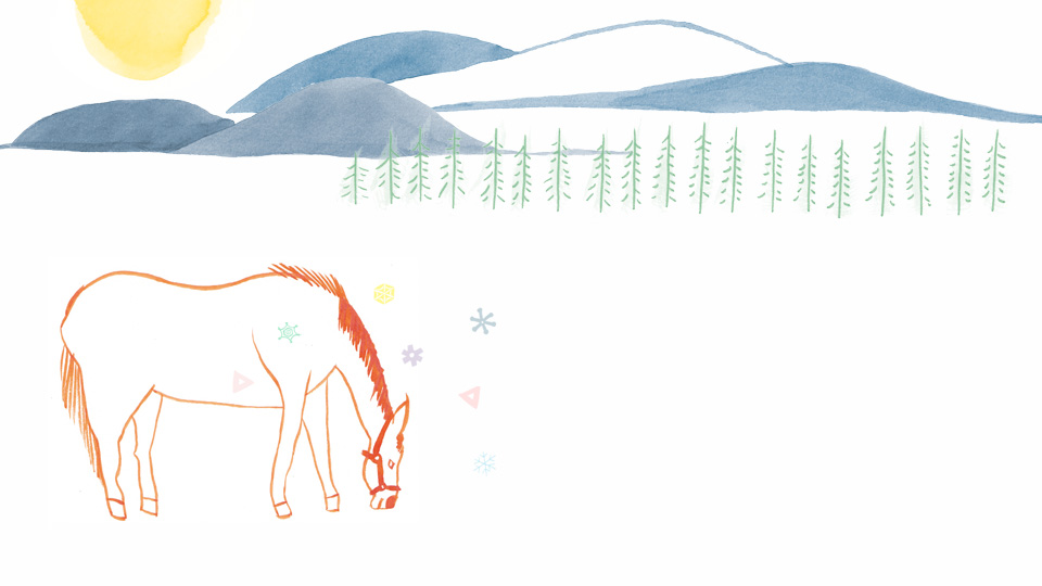 illust by erica kawashima